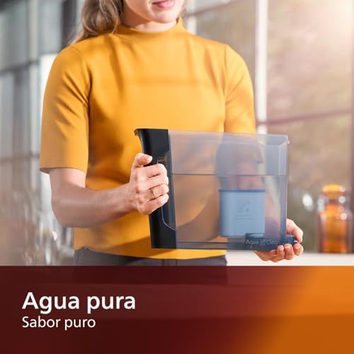 Philips AquaClean Original Calc & Water Filter 2-Count for Saeco/Philips Machines