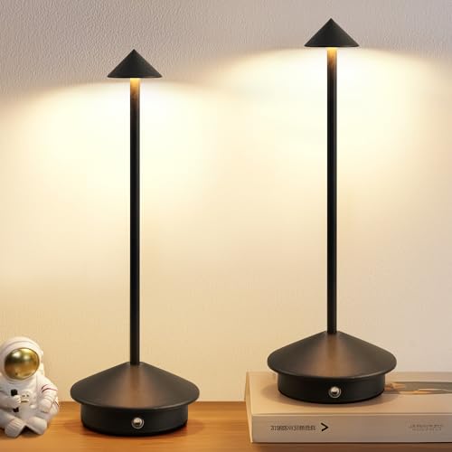 NEWSEE Set of 2 Black Cordless Portable LED Desk Lamps with Touch Control
