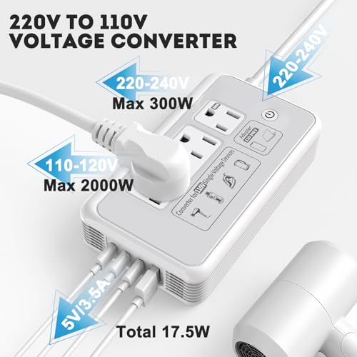 Mapambo Gray 2000W 220V to 110V Travel Voltage Converter for Hair Dryers
