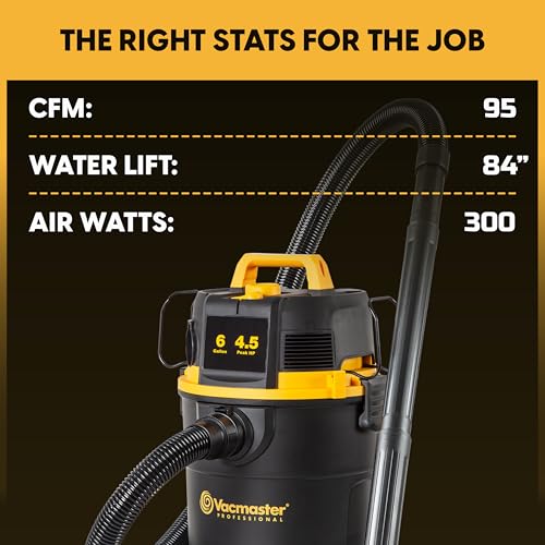 Vacmaster Professional 6-Gallon Wet/Dry Shop Vacuum with Self-Cleaning Filter