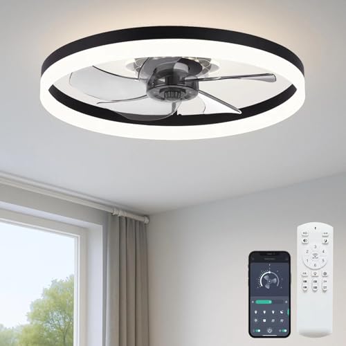 Fszdorj 20'' Low Profile Ceiling Fan with Light & Remote Control - Black