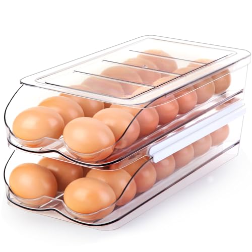 RoskDeewat 28-Egg Automatic Rolling Fridge Egg Holder, 2-Tier with Lid, BPA-Free