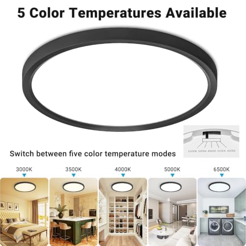 Fairdeer Black 12-Inch LED Flush Mount Ceiling Light 5 Color Temperatures 2-Pack