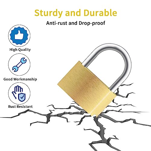 Lockwise 4pcs Small Lock, Solid Brass Keyed Padlock with Key, Locks with 12 Same Keys, Gym Locker Lock with Key, Storage Pad Locks for Locker Gym Gate Outdoor Indoor Use (Light-Duty)