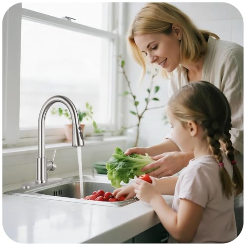 LUFG Brushed Nickel Kitchen Faucet with Pull Down Sprayer & Deck Plate - Classic Finish