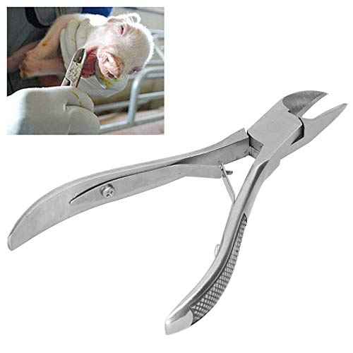 Haofy Pig Tooth Cutting Pliers, Stainless Steel, Ergonomic Handle, 13cm x 2.4in, 73g