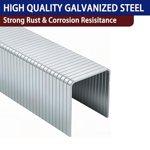 HW HAMWOO T50 Staples 1/4"-9/16" Variety Pack 6720pcs Galvanized 20 Gauge