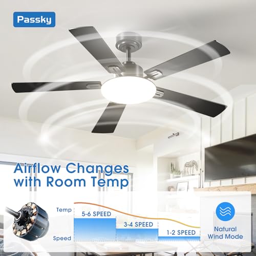 Passky Black 52 Inch Ceiling Fan with Lights & Remote Control