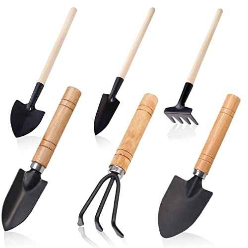 Small Garden Tool Set, 6 Pieces Iron Gardening Kit Including Hand Shovel, Transplant Shovel and Hand Rake with Wood Non-Slip Handle Perfect for Plant Lovers