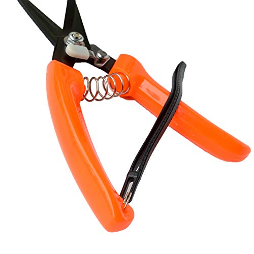 8-Inch Goat & Sheep Hoof Trimming Shears with Carbon Steel Blades - Multiuse Livestock & Gardening Tool
