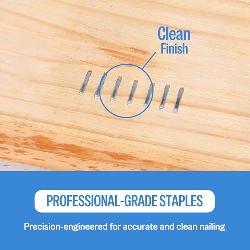20 Gauge Galvanized Upholstery Staples 3/8-Inch Length, 1 Box (10mm) Crown, 5,040 pcs