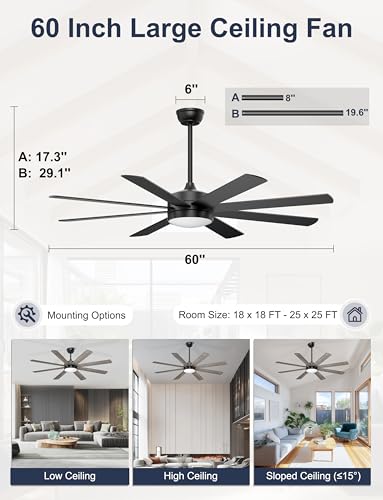 Phylluz 60'' Black Ceiling Fan with Lights Remote & App Control
