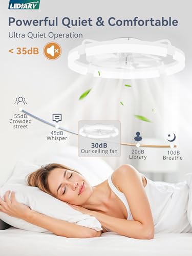 LEDIARY 24-Inch White Ceiling Fan with Lights, Low Profile Fandelier, Remote & App Control