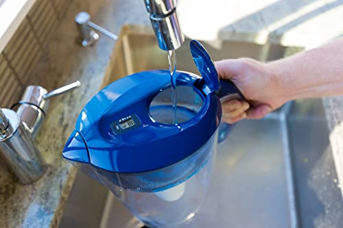Epic Pure Standard Water Filter Pitcher 10-Cup, 150 Gallon Capacity, BPA-Free, Removes Fluoride & Contaminants - Variant 1