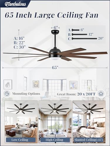 Fanbulous 65 Inch Black Ceiling Fan with Reversible Blades, 3CCT Lights & Remote