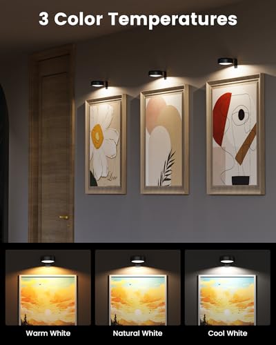 Black 3 Pack Rechargeable Magnetic LED Picture Lights with Remote – Art Frame & Wall Decor