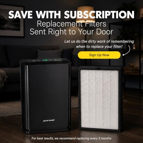 PuroAir Genuine 400 Replacement Filter 2 Pack | True HEPA with CarbonTech