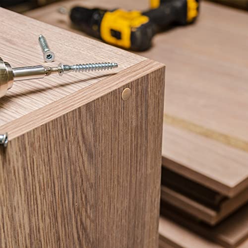 Bucherry Wooden Mushroom Hole Plugs - 120 Pieces, 4 Sizes for Furniture & DIY