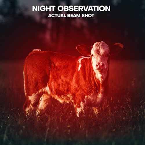 2 Pack Red Flashlight LED Single Mode Light 1 Mode LED Torch Scalable Red Light Flashlight for Astronomy Aviation Night Observation