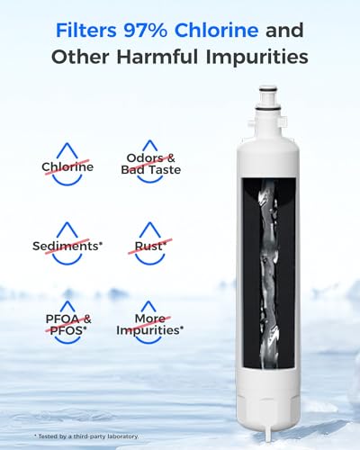 Waterdrop WD-F19C Water Filter Replacement Pack for GE RPWFE - 2 Pack