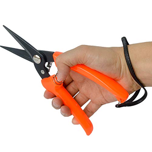 8-Inch Goat & Sheep Hoof Trimming Shears with Carbon Steel Blades - Multiuse Livestock & Gardening Tool