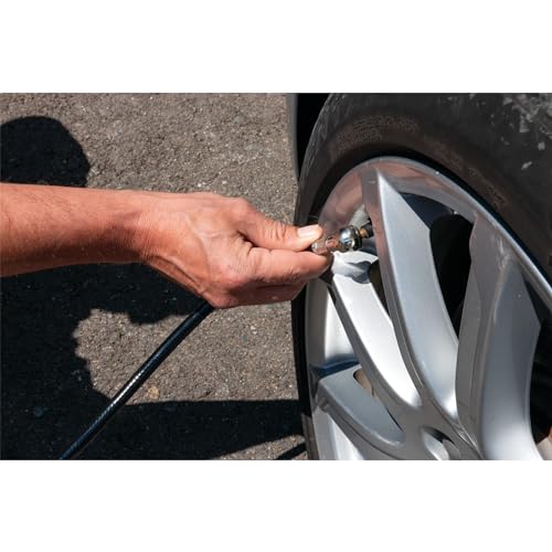 Performance Tool 4 ft PVC Air Hose with 1/4 in NPT M Thread, 300 PSI
