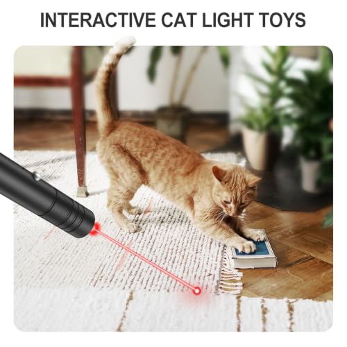 LETEAPII Red Laser Pointer USB Rechargeable with Star Cap - Model 1