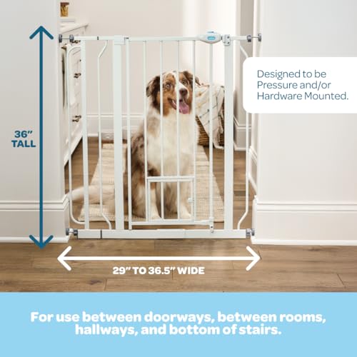 Carlson 36-Inch Extra Tall Walk-Through Dog Gate with Small Pet Door, White, Adjustable 29.5-36.5" Width