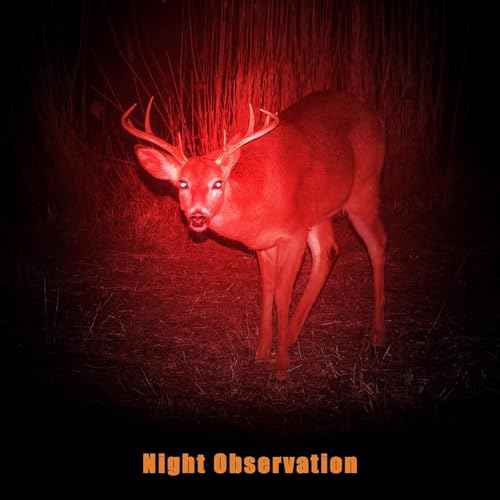 Tuanse 2 Pcs Red Light Flashlight Red LED Flashlight Pen Light Bright Torch for Night Astronomy Aviation Observation Turtle Safe Beach