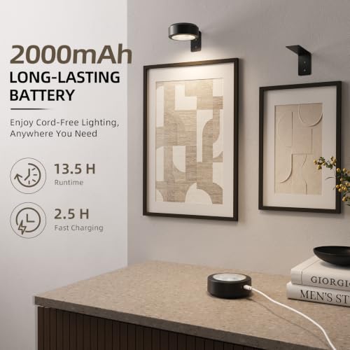 EZVALO Black Rechargeable Picture Lights 3 Pack with Remote & RGB for Wall Art