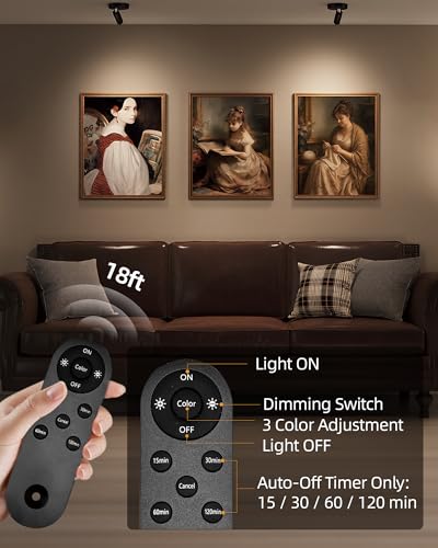 EZVALO Black Rechargeable Indoor Spotlights for Wall Display, 2 Pack