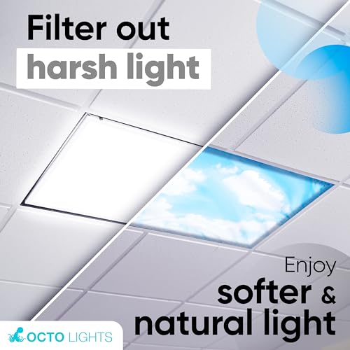 OCTO LIGHTS 4-Pack Magnetic Cloud Fluorescent Light Covers Classroom Safety
