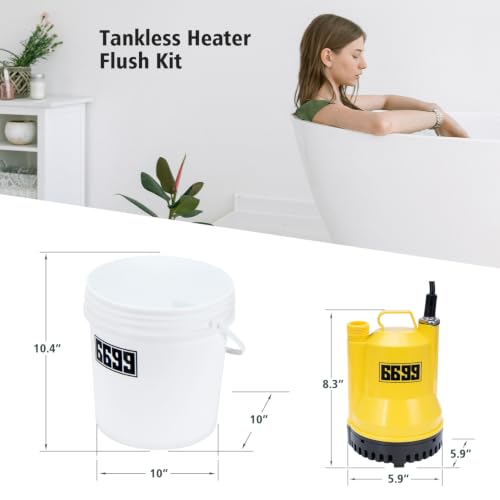 Tankless Water Heater Descaling Flush Kit with Submersible Pump & Hoses