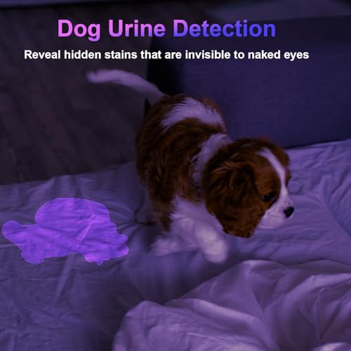 COSOOS 2 Pack UV Flashlight, 365nm USB Rechargeable Black Light Flashlight, Mini Handheld Detector for Dog Cat Urine, Pet Stains, Scorpions, Resin Curing