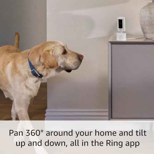 Ring Pan-Tilt Indoor Cam | See all around your home or business with 360¡Æ pan coverage, HD video, plus Two-Way Talk (2024 release) | White
