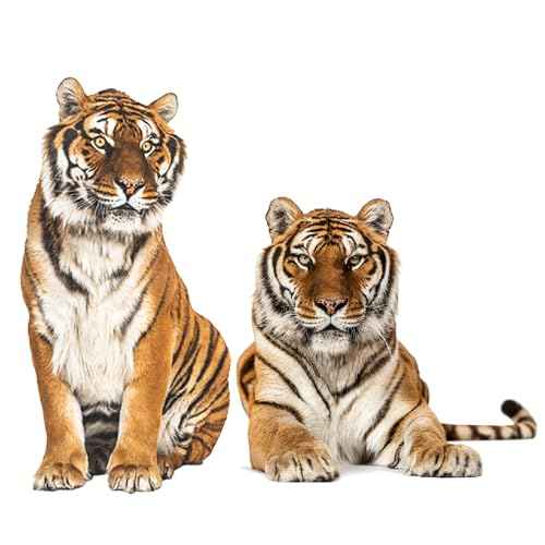 ELANE Tiger Wall Decor - 2 Sheets of Decals and Stickers for Kids, Baby, Bedroom, Bathroom, Living Room