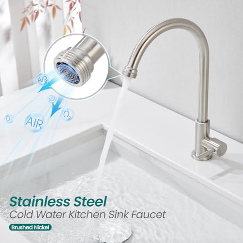 Brushed Nickel Cold Water Faucet - Stainless Steel Single Hole Utility Sink Tap
