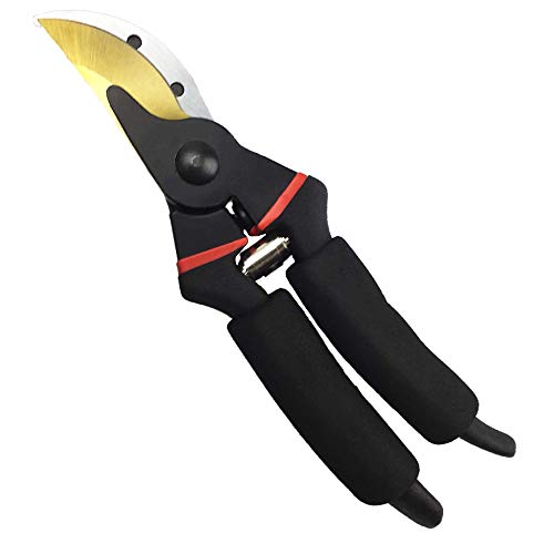 Gonicc 8-Inch Premium Titanium Bypass Pruning Shears - Golden Version