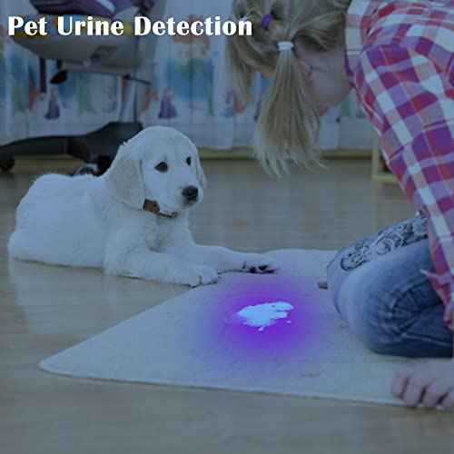 UV Flashlight Black Light?Small Portable Mini 12 LED Blacklight Flashlight for Hidden Stain Detection in Room, Resin Curing,Scorpion & Bed Bug Find,Pet Urine & Dry Stain Detection/Carpets/Rugs/Floors