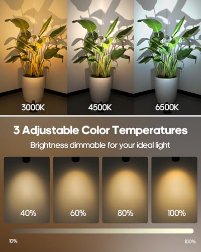 GOODEA Black Rechargeable Indoor Spotlights with Remote, 3000mAh, 3 Color Temperatures