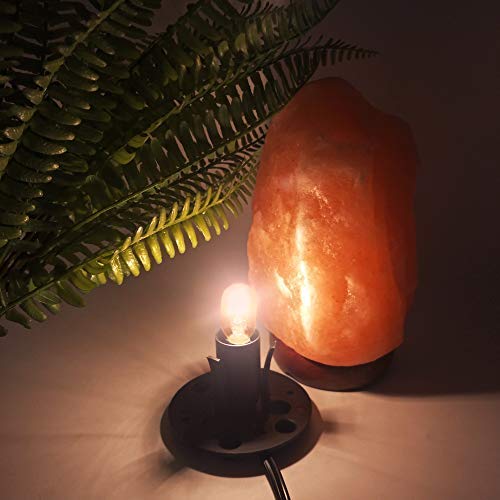 Himalayan Salt Lamp Cord with Dimmer & 6 Extra 25W E12 Bulbs — Replacement Set