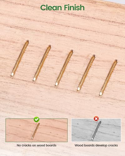 Meite 16 Gauge 1-Inch Wide Crown Staples - Heavy Duty Galvanized P-Type, 10,000 PCS