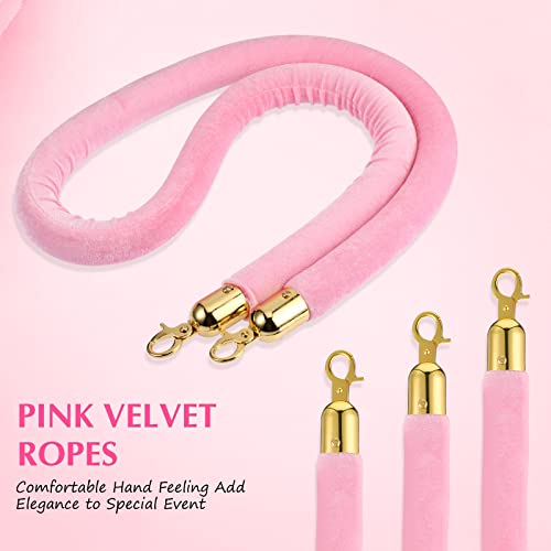 Riakrum 4 Pieces Pink Velvet Stanchion Rope 5 Feet Velvet Ropes with Gold Clasps for Party Hotels Wedding Movie Theaters Grand Openings Crowd Control Barrier Supplies