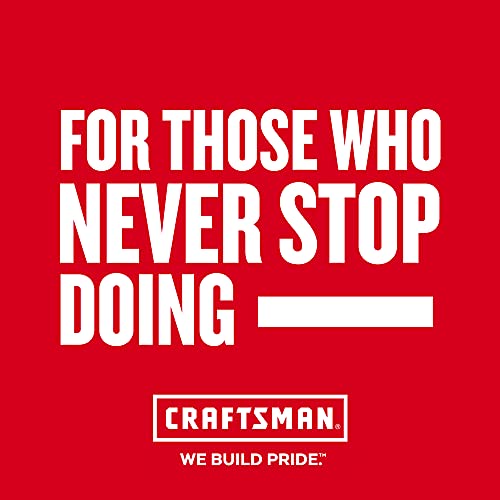 CRAFTSMAN CMMT98312 CRFT 3PC Bristle Brush Set, Red