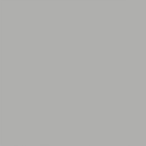 Rust-Oleum 8781502 Stops Rust Aluminum Flat Primer, 32 Fl Oz (Pack of 1)