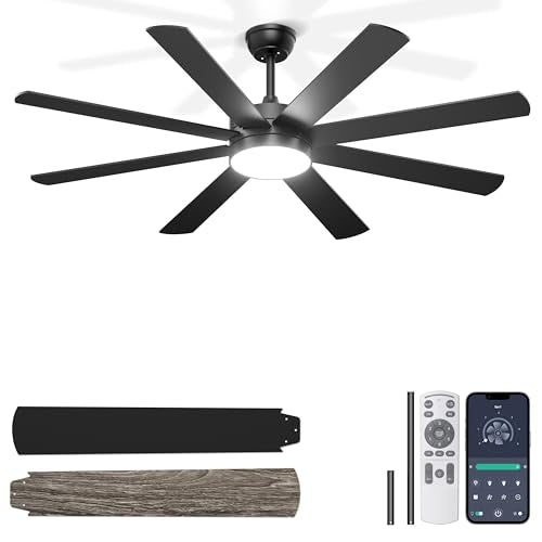 Phylluz 60'' Black Ceiling Fan with Lights Remote & App Control