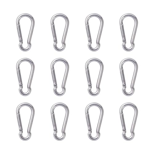 DELSWIN M4 1.57 Inch Stainless Steel Carabiner Clips 12 Pack, Strong & Rustproof