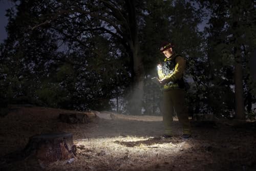 MagLite Mini Incandescent Flashlight Black 2-Cell AA Water-Resistant Compact Torch