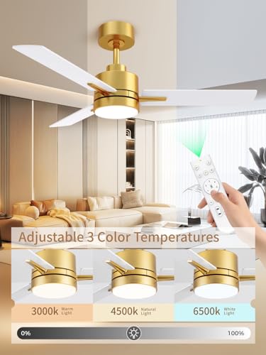 LANMEL 42 Inch Gold & White Metal Ceiling Fan with Lights & Remote Control - Downrod Included