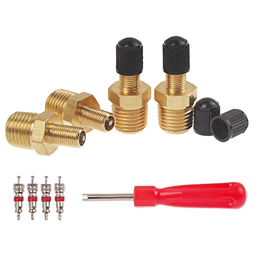 A.I.FORCE 4Pcs 1/4" NPT Tank Valve, Air Compressor Fill Valve With Anti-Corrosion Brass Schrader and Caps, Extra Replacement Stems Cores and Tool